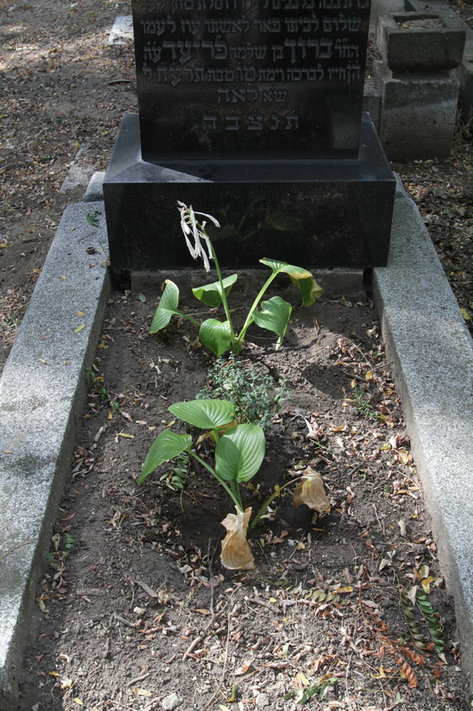 Monori zsidĂł temetĂľ