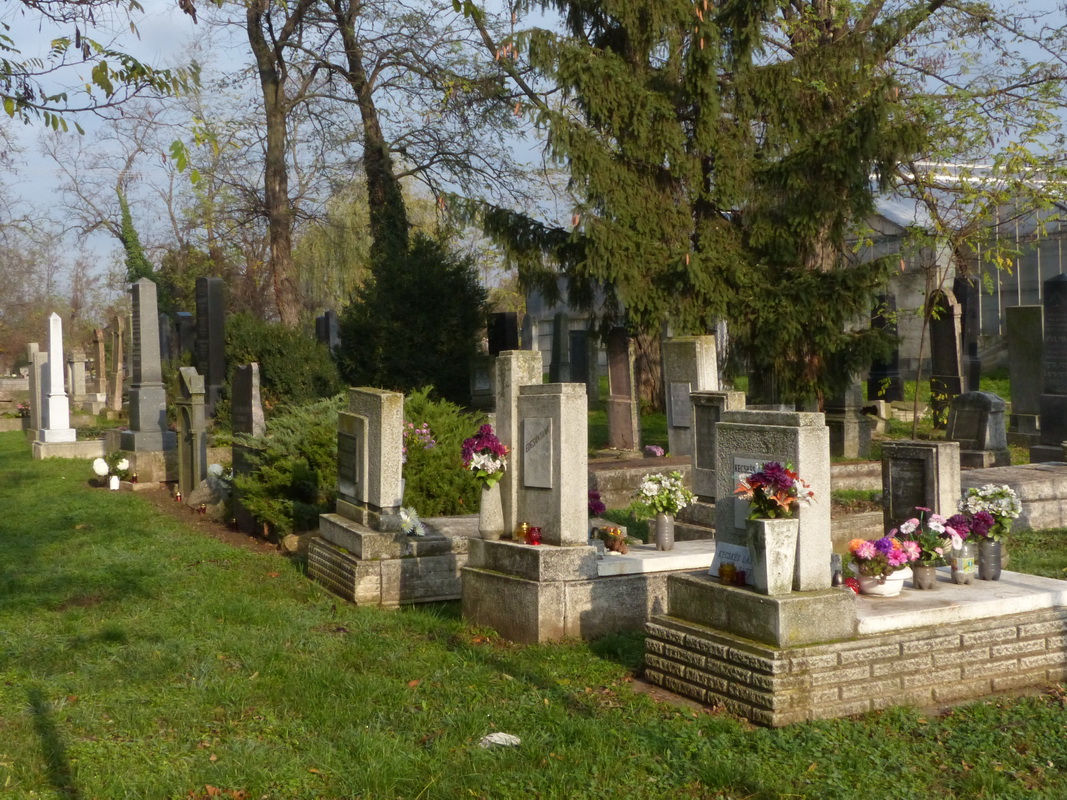 Monori  zsidĂł temetĂľ